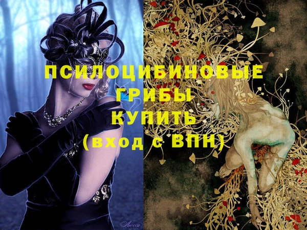 мяу мяу мука Алзамай