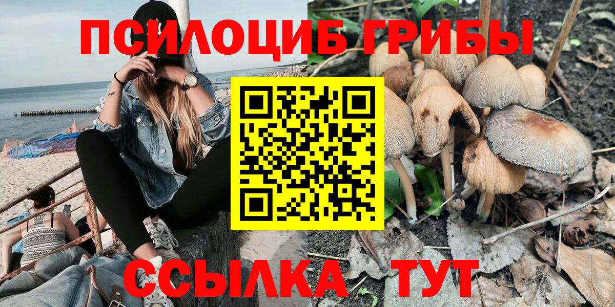 Дзержинск  Псилоцибиновые грибы GOLDEN TEACHER  Вход с VPN 